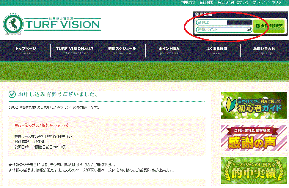 ターフビジョンという競馬予想サイトのポイントは使えたという情報